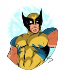 Wolverine by Sirio Wolverine by Sirio