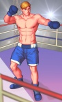 usd15 commission - boxer by darian821 usd15 commission - boxer by darian821