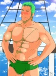 Super Zoro by AbeJoe Super Zoro by AbeJoe