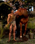 The Finest Example of Regular Horses by penbrydd The Finest Example of Regular Horses by penbrydd